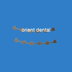Orthodontic Bondable Ligual Retainer